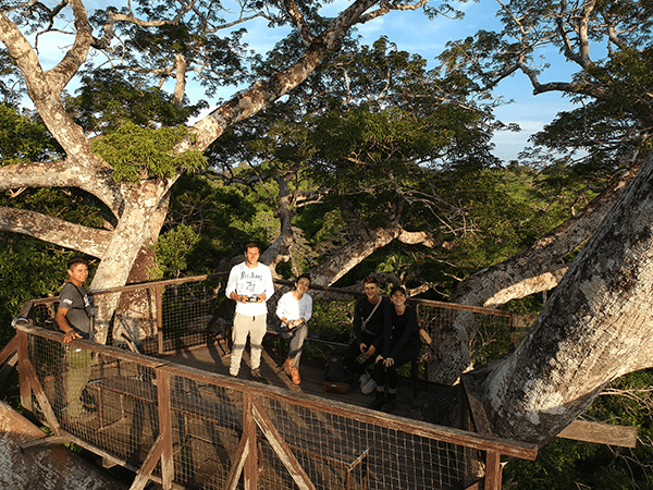 Tambopata Canopy Walkways Activity 4