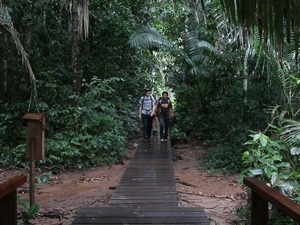 Tambopata Lake Sandoval Tour 4