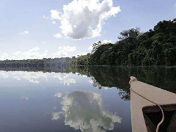 Tambopata Lake Sandoval Tour