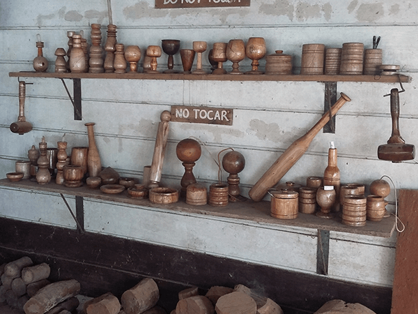 Tambopata Mahogany Tour 4