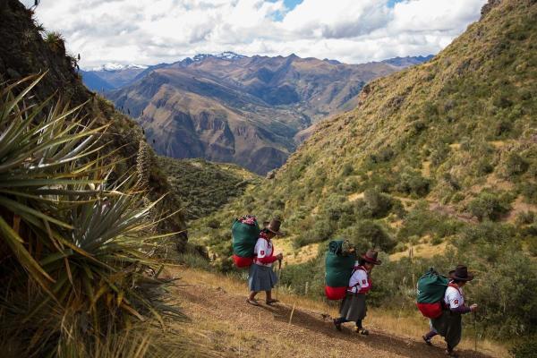 Inca Trail Trek