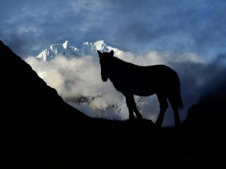 Salkantay Trek to Machu Picchu