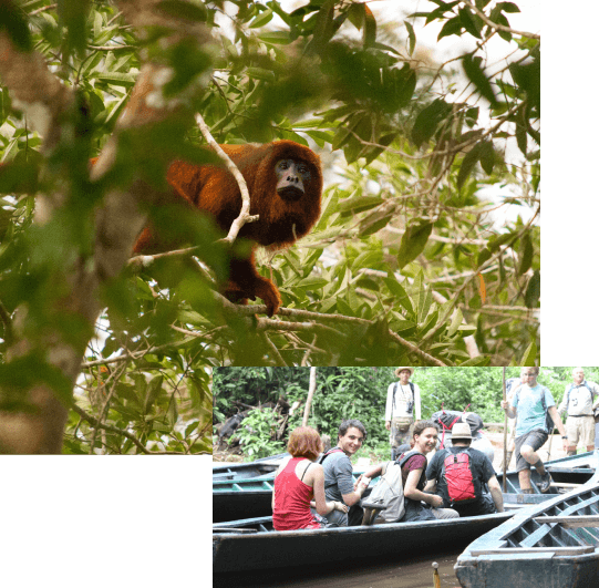 Tambopata Lago Sandoval Tour