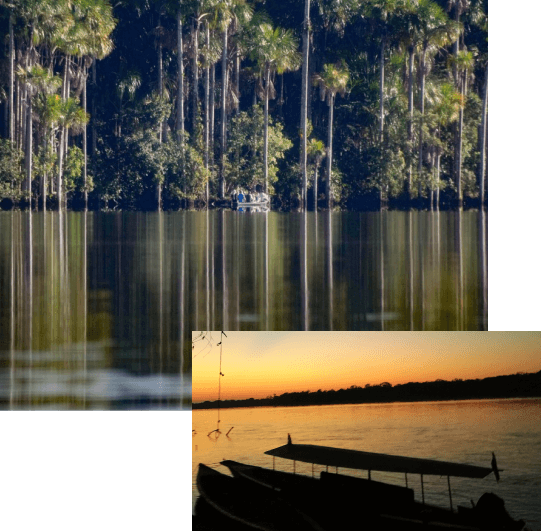 Tambopata Lago Sandoval Tour