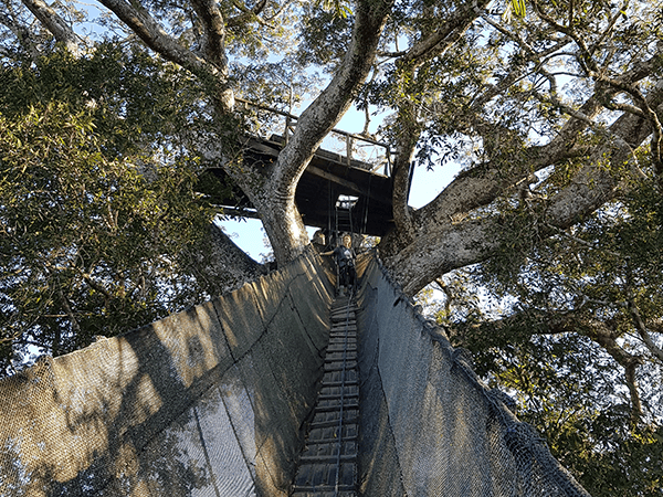 Tambopata Lago Sandoval Programa Turistico 2