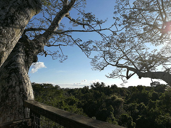 Tambopata Programa Turistico 1