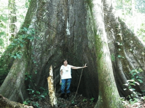 Tambopata Programa Turistico 4