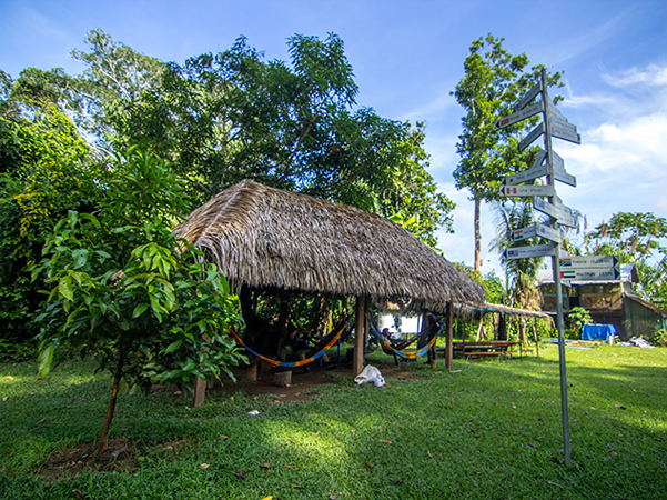 Voluntariado Amazonico
